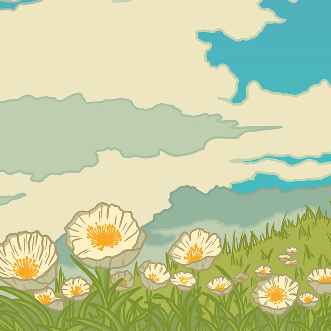 Affiche - Polaroid Cloud Girl đ·